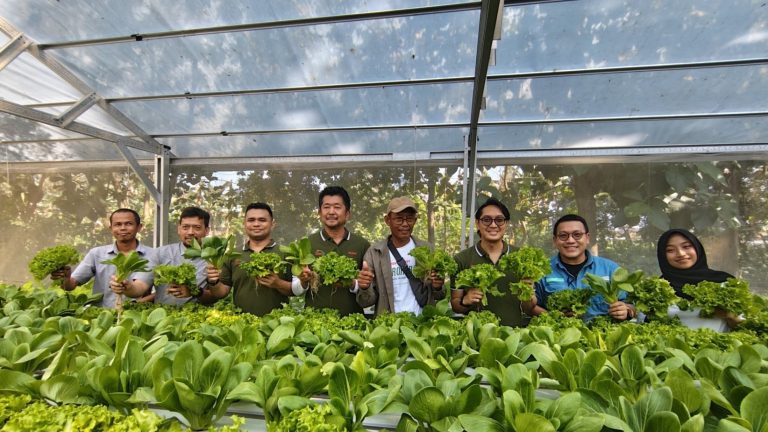 Dampak Lingkungan Hingga Kesejahteraan Di Program Sharp Hydro Heroes-Sharp Greenerator