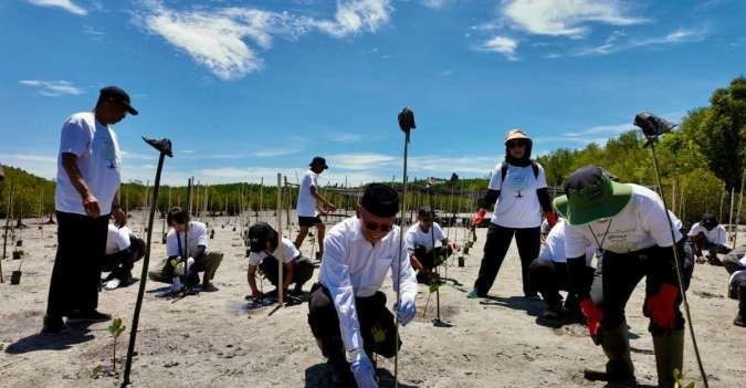 Pentingnya Mangrove Jaga Kawasan Pesisir Pentingnya Mangrove Jaga Kawasan Pesisir