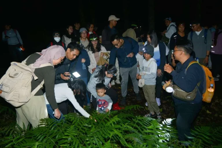 Kunang-kunang dan Indikator Ekosistem Alam