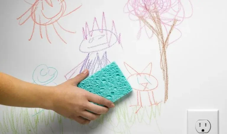 Solusi Untuk Dinding Lembap-Luntur